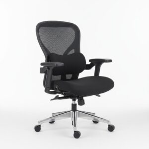 Ergonomic Office Chair Mesh Back